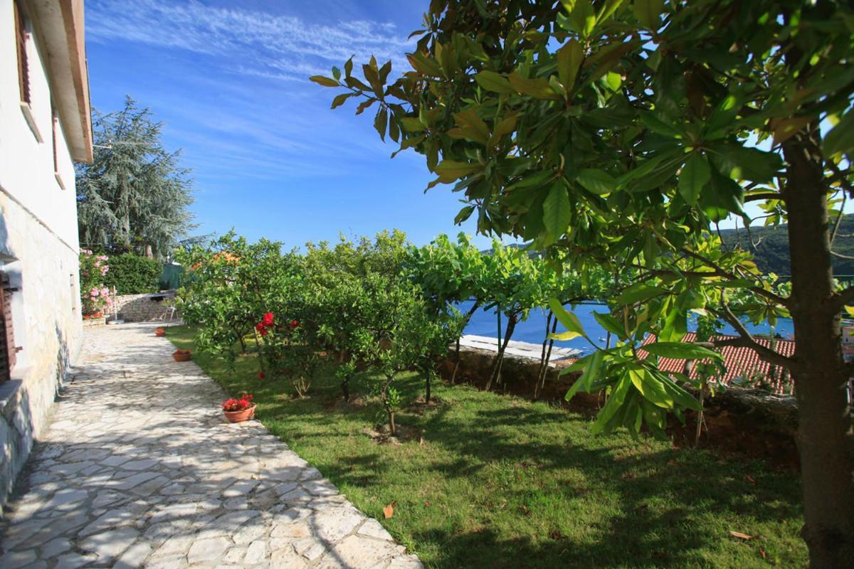 Apartments Lina 2023 Rabac Εξωτερικό φωτογραφία